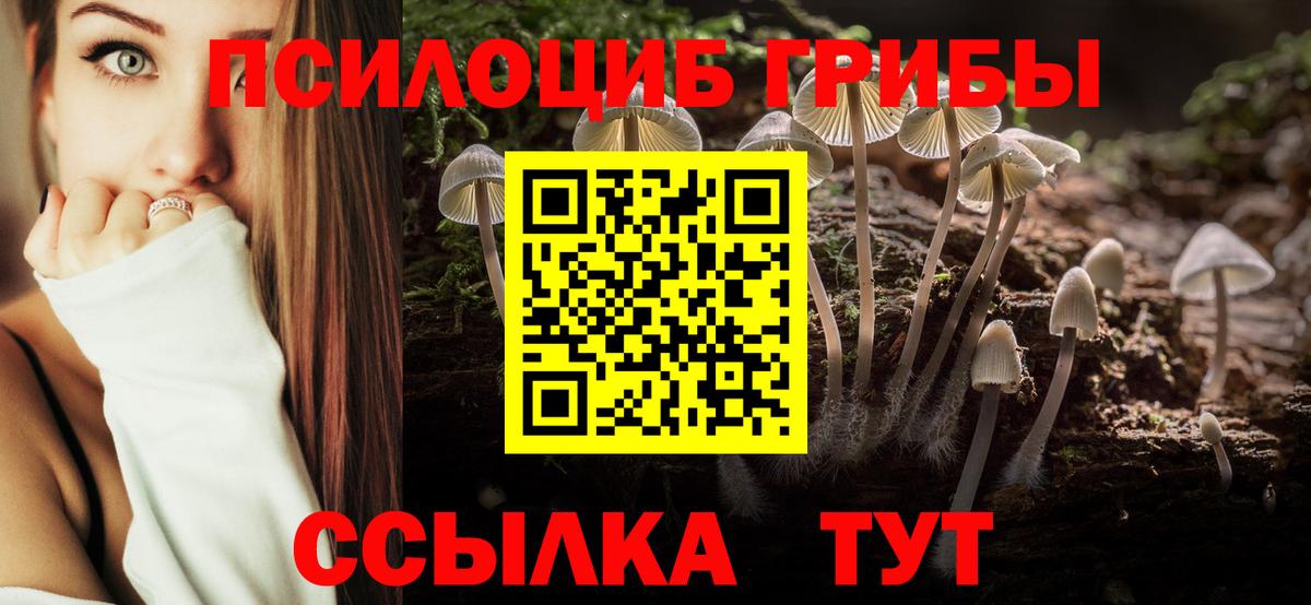 Кохма  Галлюциногенные грибы прущие грибы  Галлюциногенные грибы мухоморы  Вход с VPN 