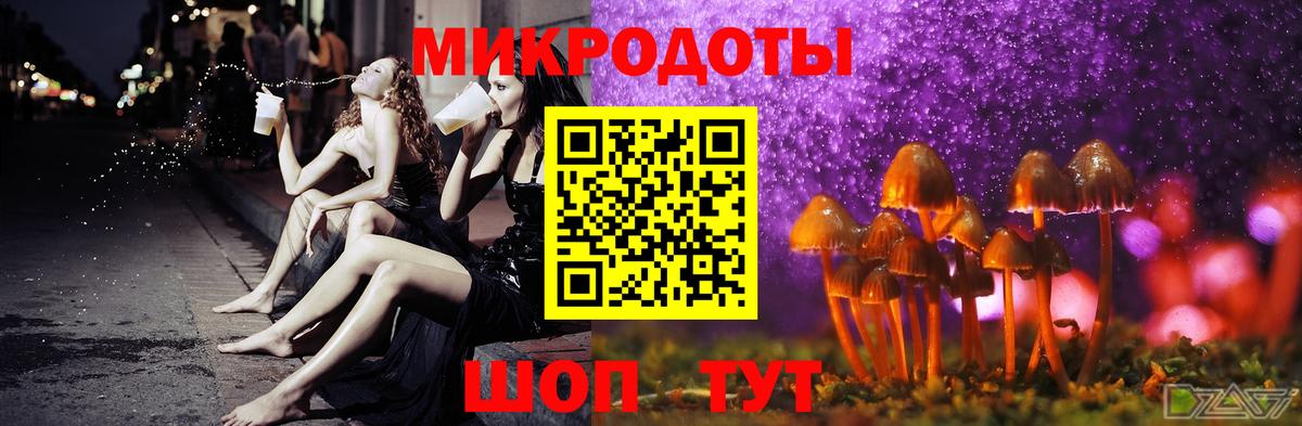 APVP Кохма